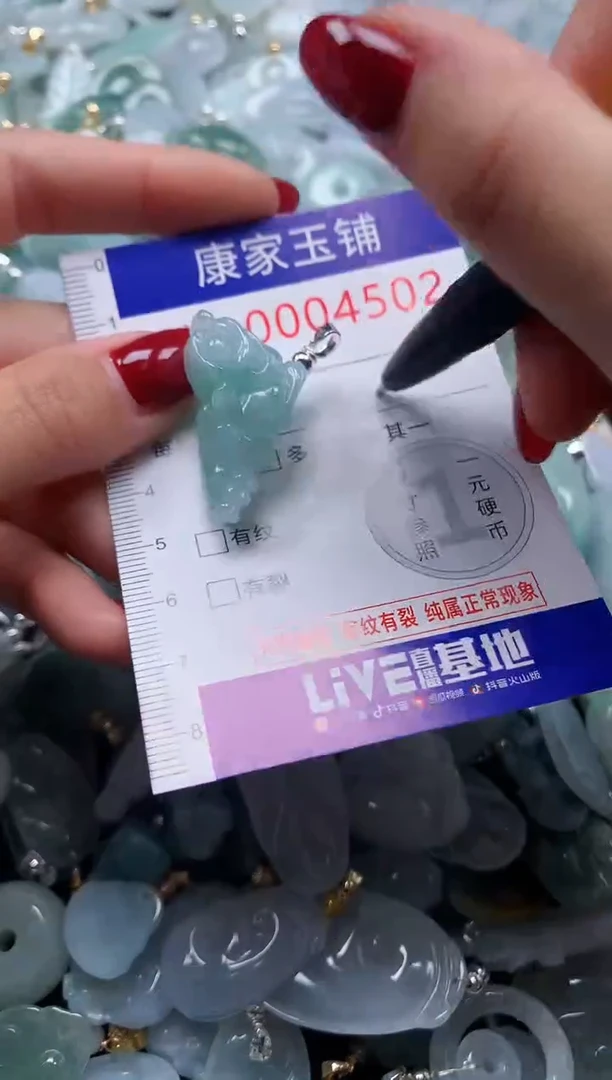 颈饰未镶嵌翡翠4502