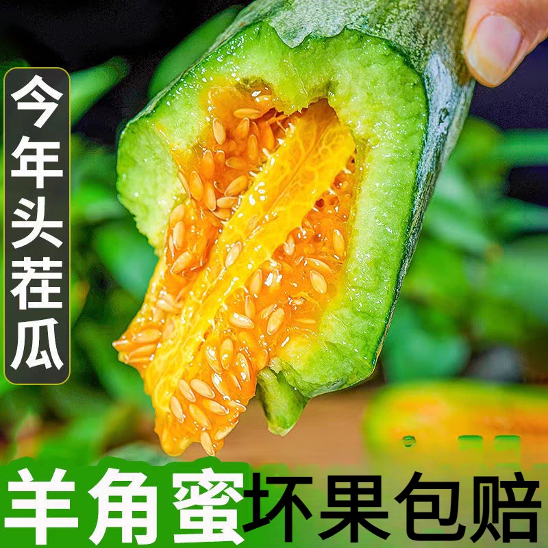 【彩箱】山东头茬羊角蜜甜瓜4.5斤应季新鲜水果4.5斤单果350g起