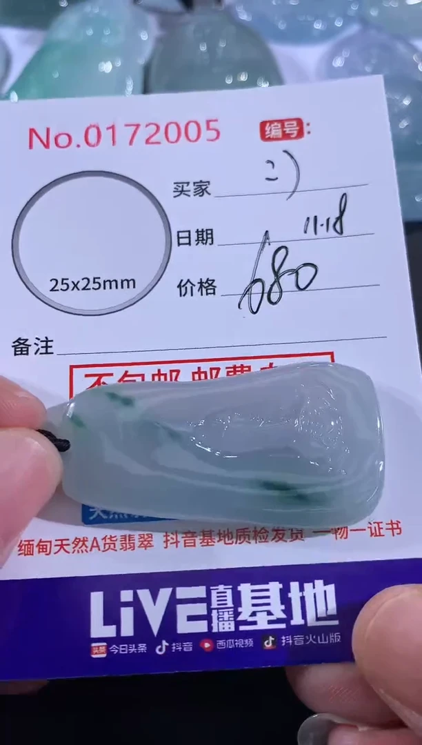 颈饰未镶嵌翡翠：*?！