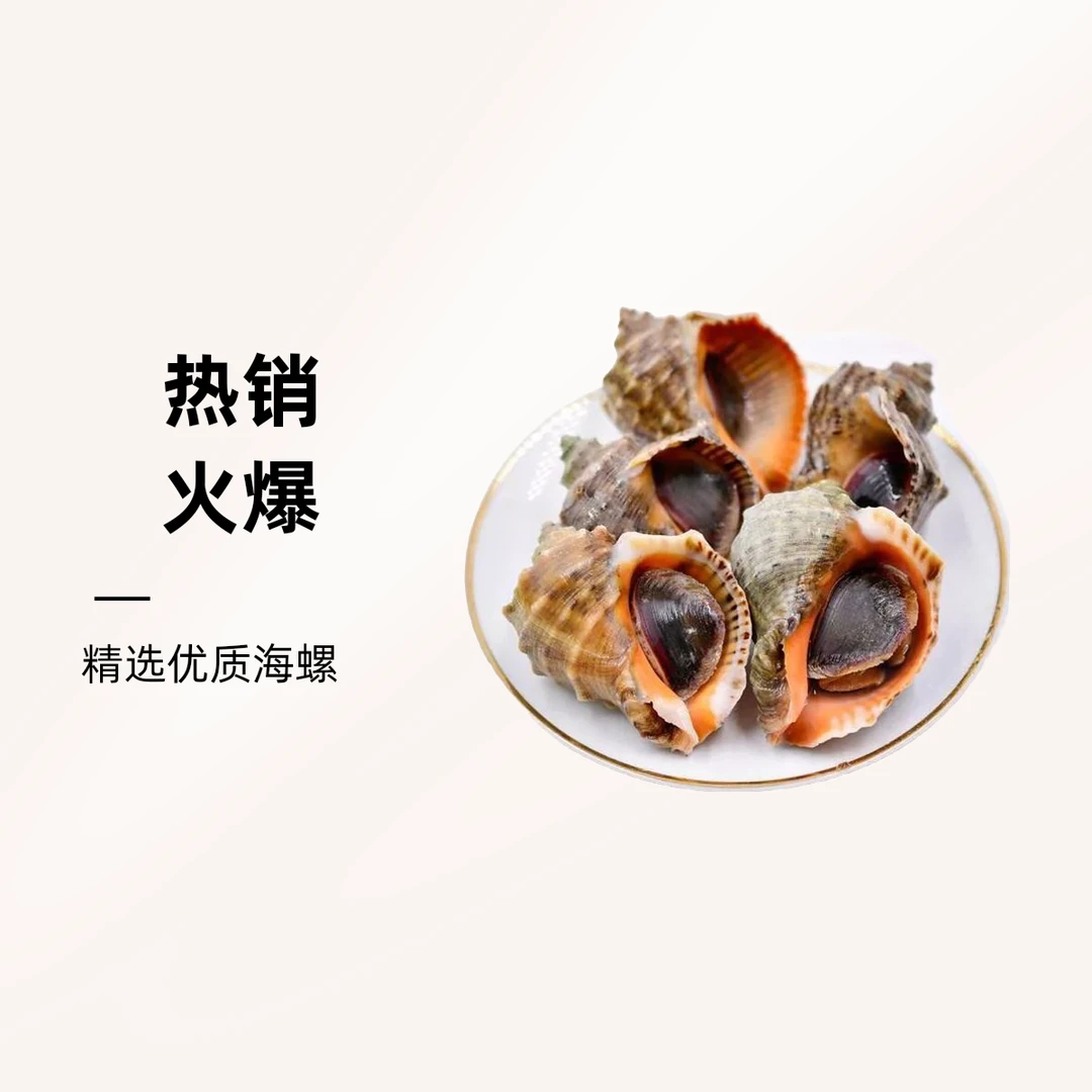 新鲜鲜活小/中海螺16元一斤6-7个