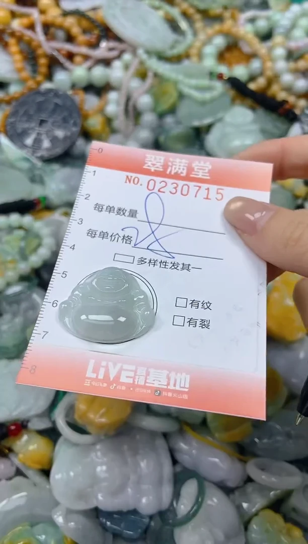颈饰未镶嵌翡翠闪购0230715