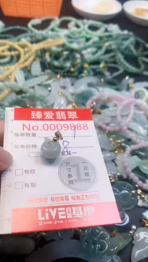 颈饰未镶嵌翡翠9888