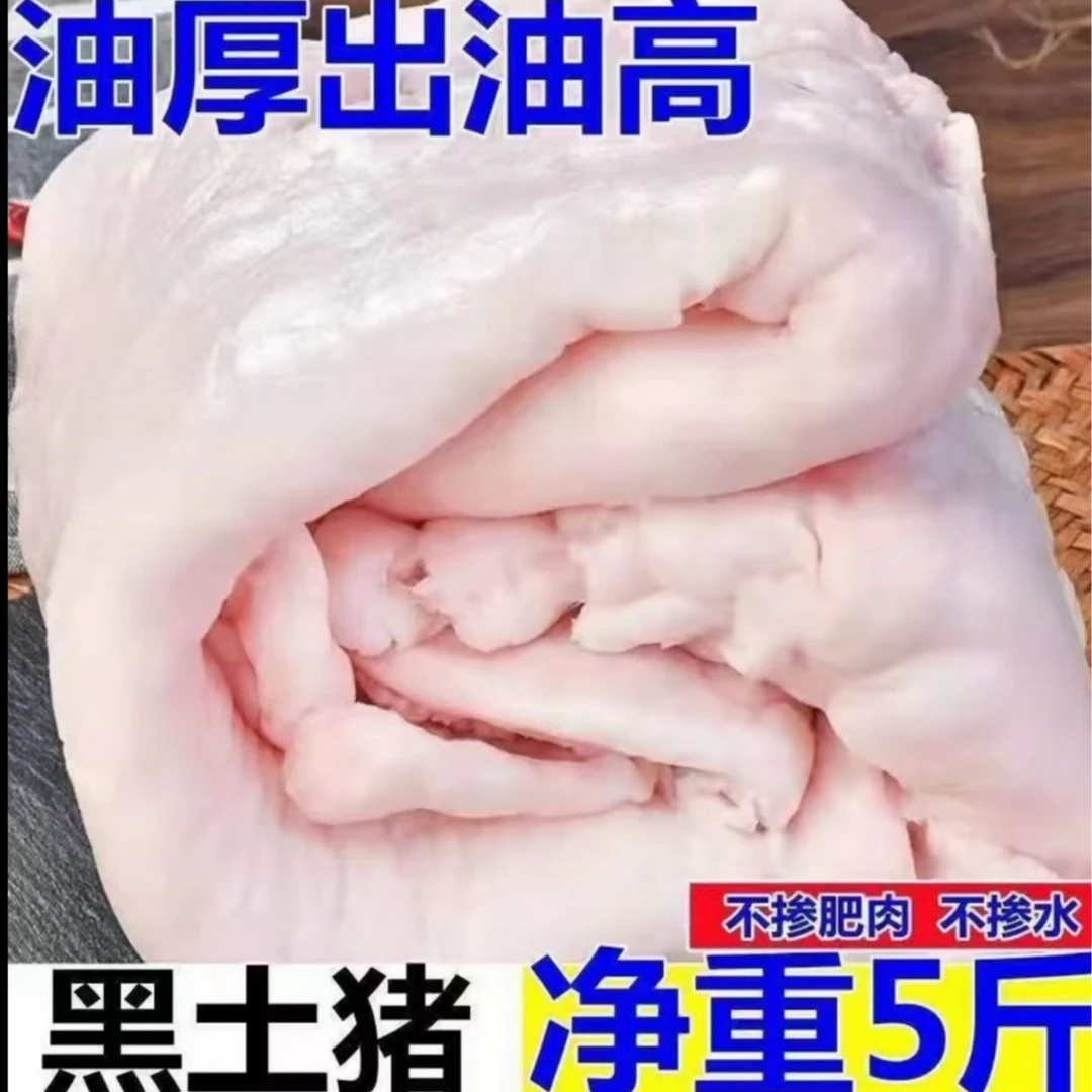 1【猪板油】到手5斤 农家散养土猪猪板油 冷链发货