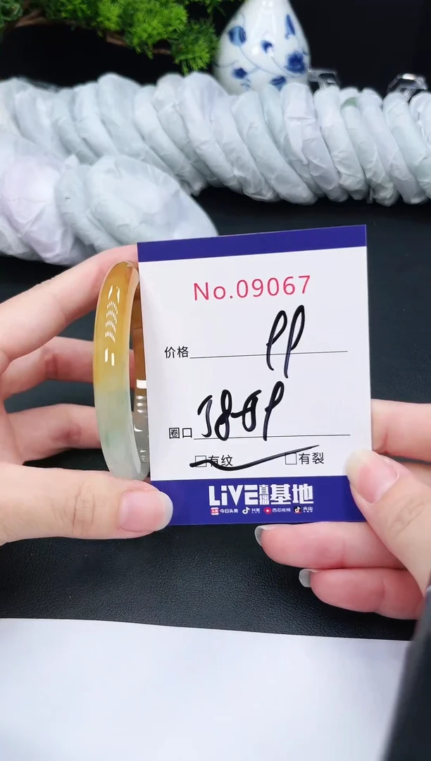 未镶嵌手镯翡翠9067