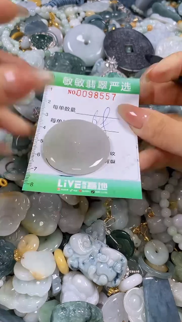 【闪购商品】翡翠颈饰未镶嵌闪购0098557