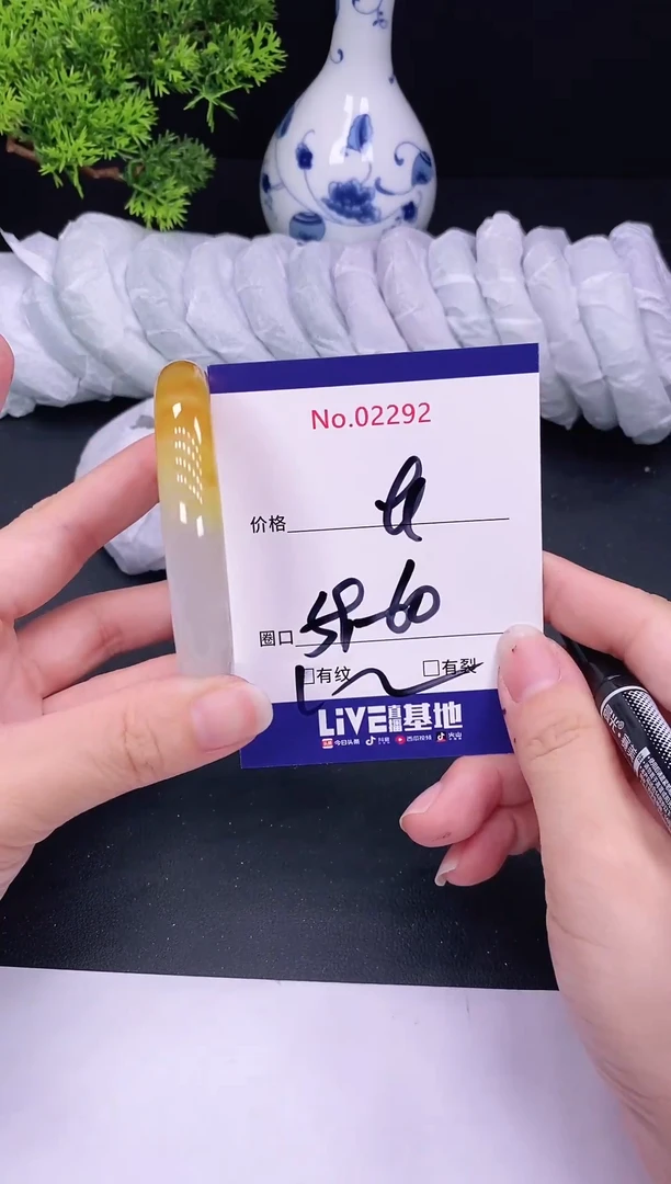 未镶嵌手镯翡翠2292