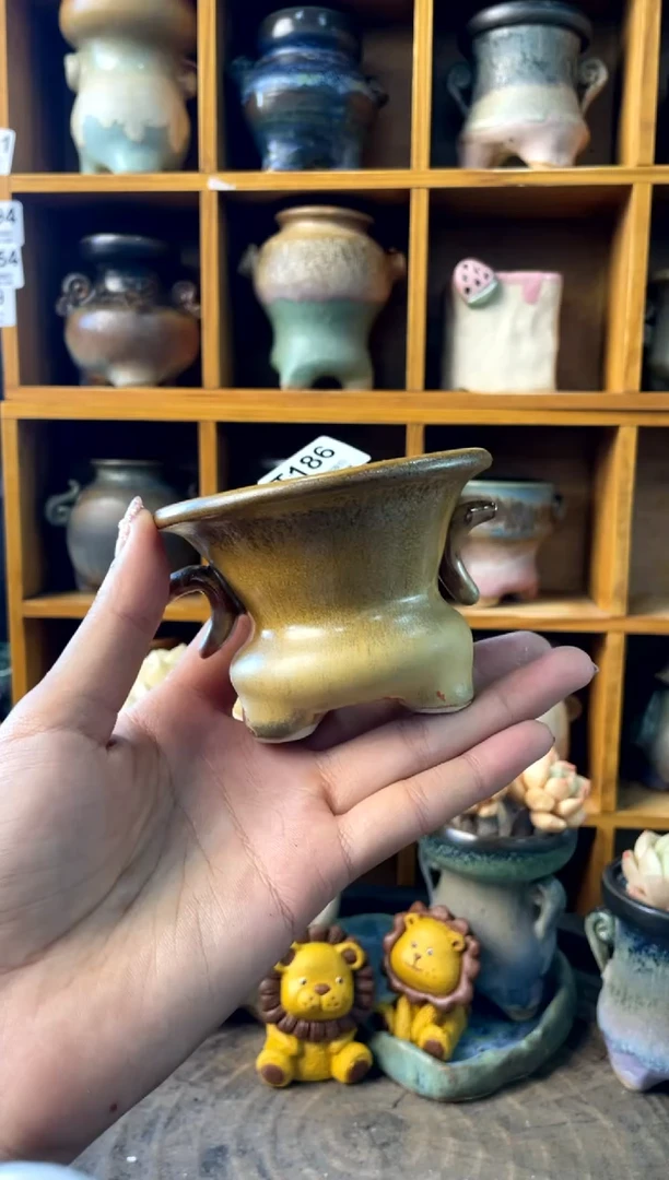 186内口8【多肉花盆多肉盆】