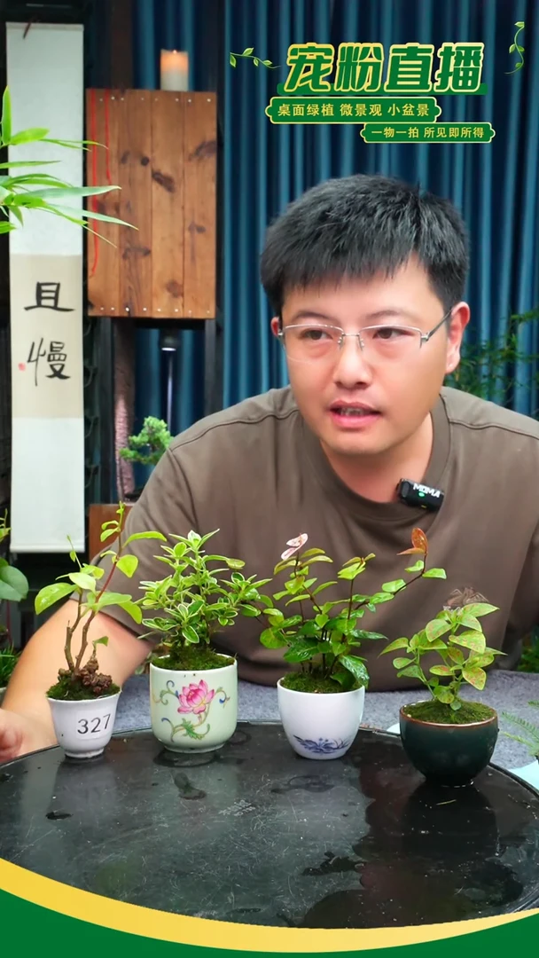 无花朵®****?苔藓微景观327号