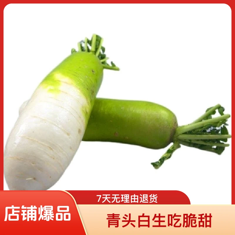 【顺丰包邮】云南新鲜半截绿白萝卜青头白生吃脆甜农家自种包邮