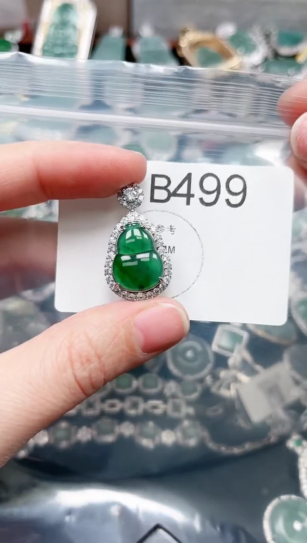 【闪购商品】翡翠颈饰未镶嵌赠皮绳499