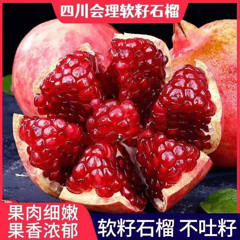 四川会理软籽石榴新鲜当季水果纯甜爆甜多汁不吐籽突尼斯软籽石榴
