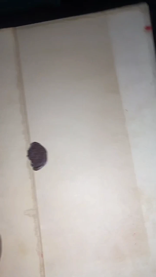 木质【闪购】——————大福利