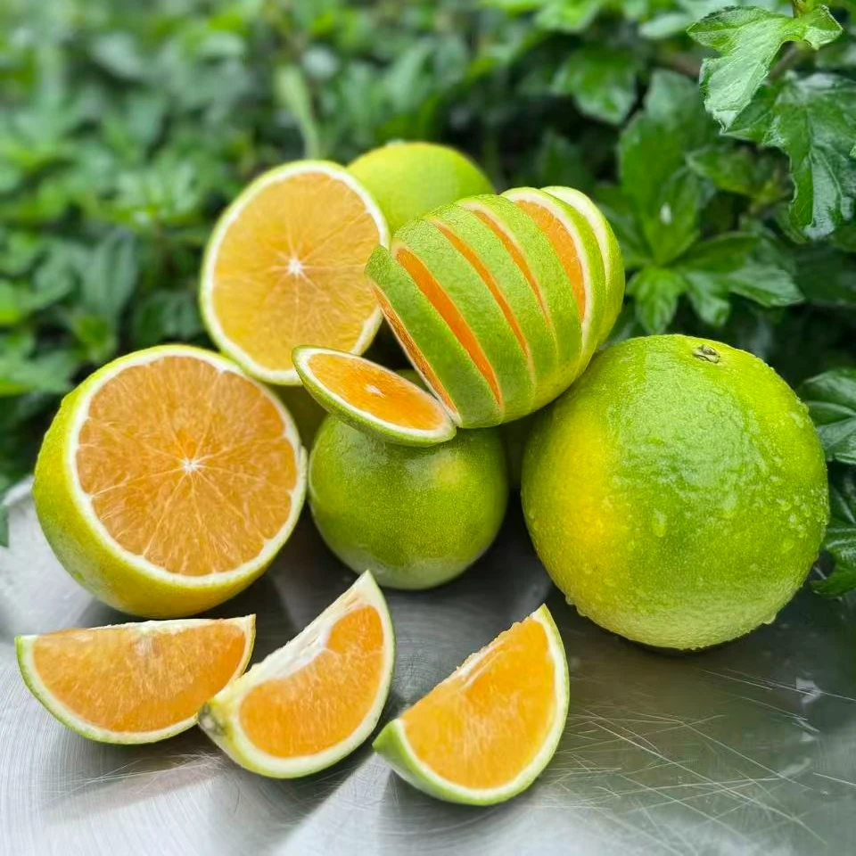 【田园音符】正宗海南琼中绿橙新鲜现摘头茬果清甜多汁