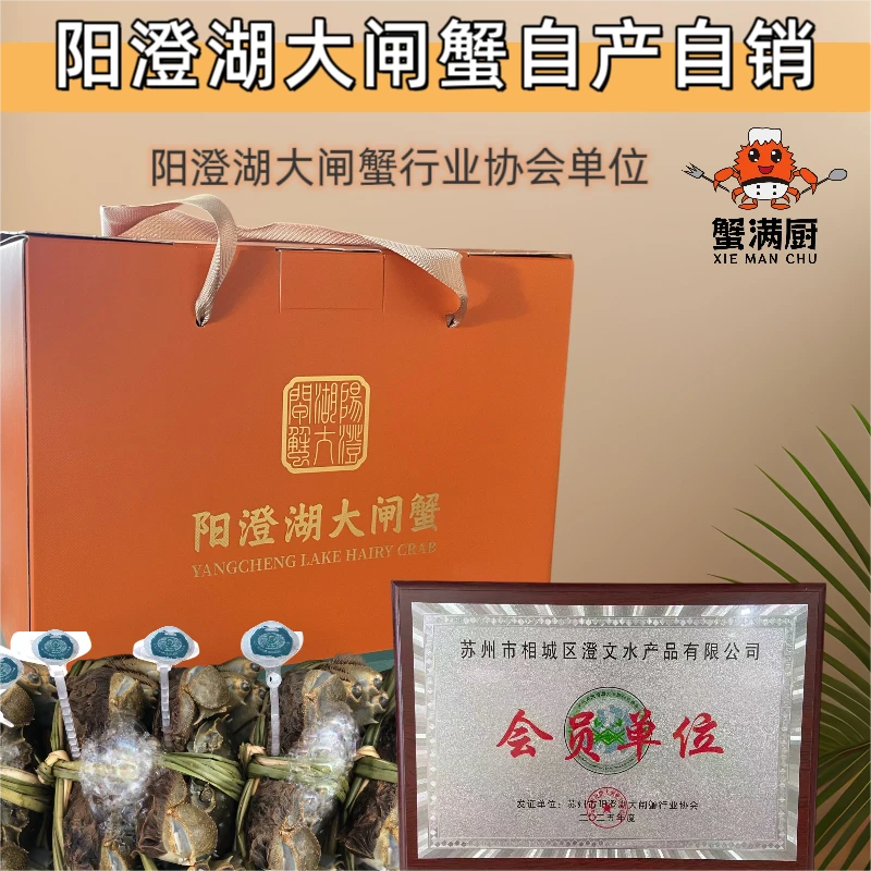 蟹满厨阳澄湖大闸蟹母2.5两6/8/10只顺丰冷链高标准塘养蟹