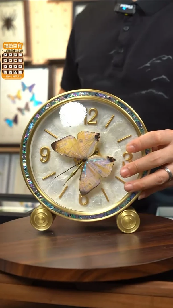 夜明珠闪蝶小钟