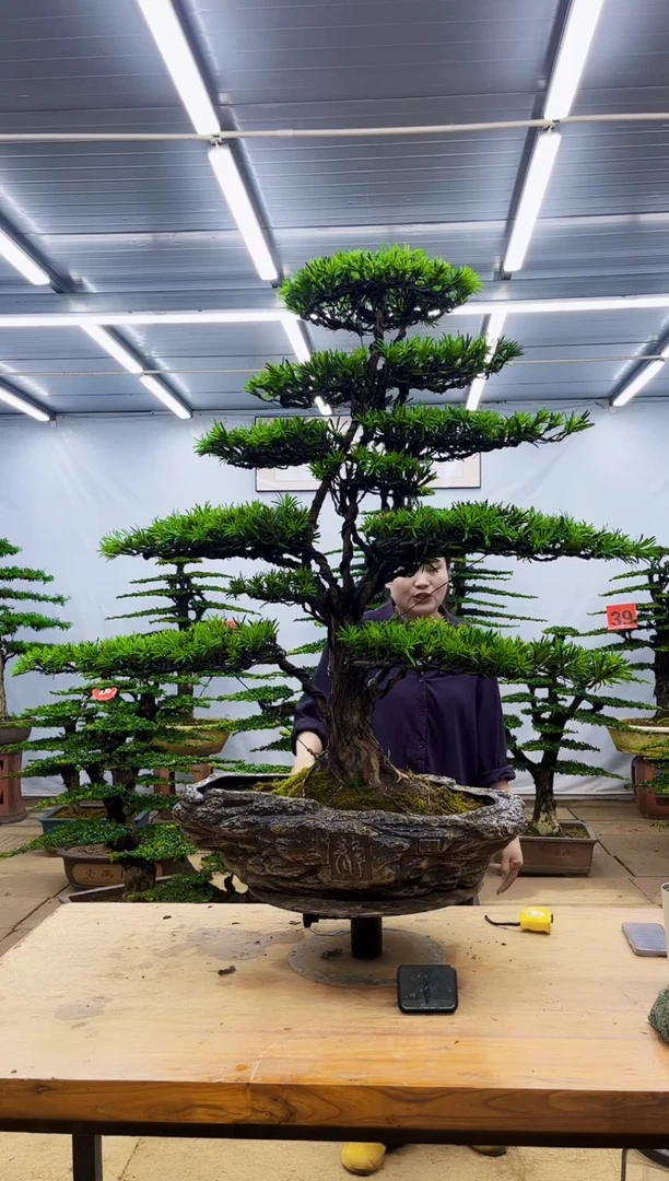 无花朵一物一拍,所见即所得
