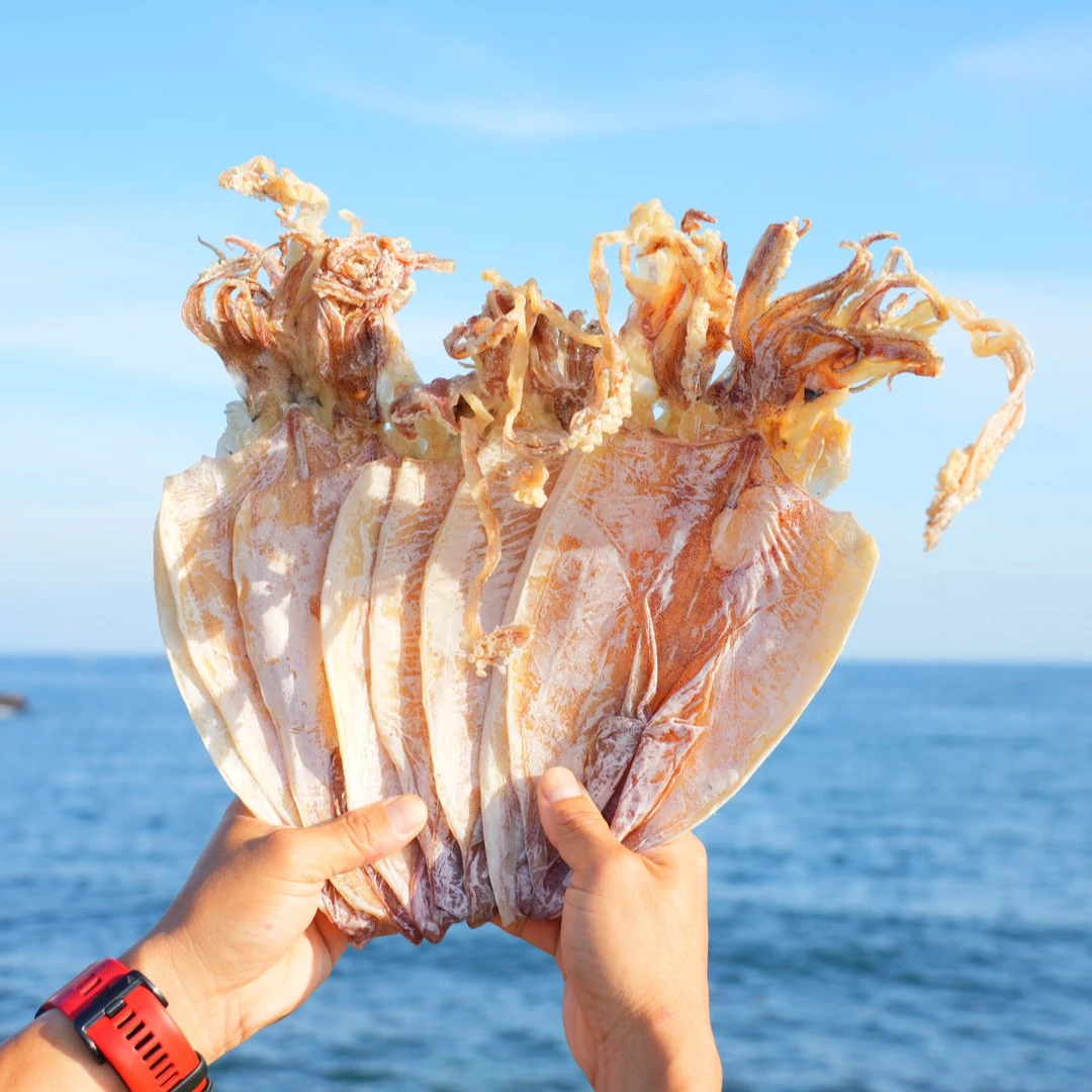 海南天然淡晒鱿鱼干赠送芥末油煎烧烤海鲜顺丰包邮