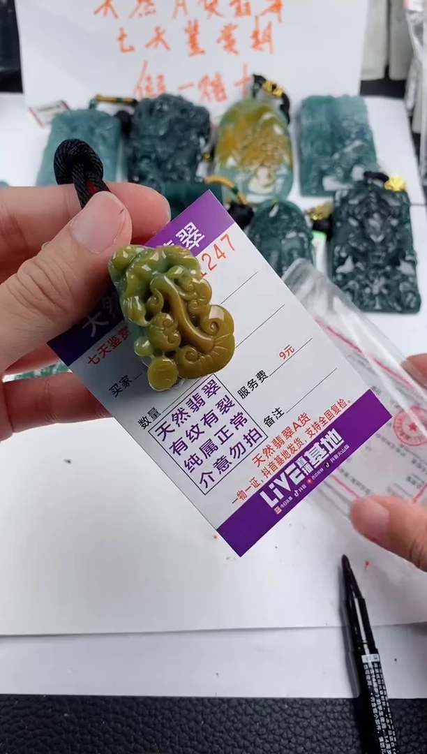 颈饰未镶嵌翡翠