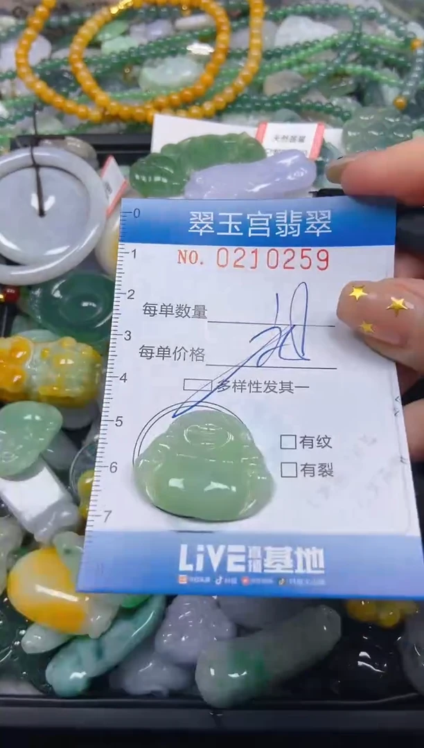 颈饰未镶嵌翡翠闪购C0210259多样性发其一