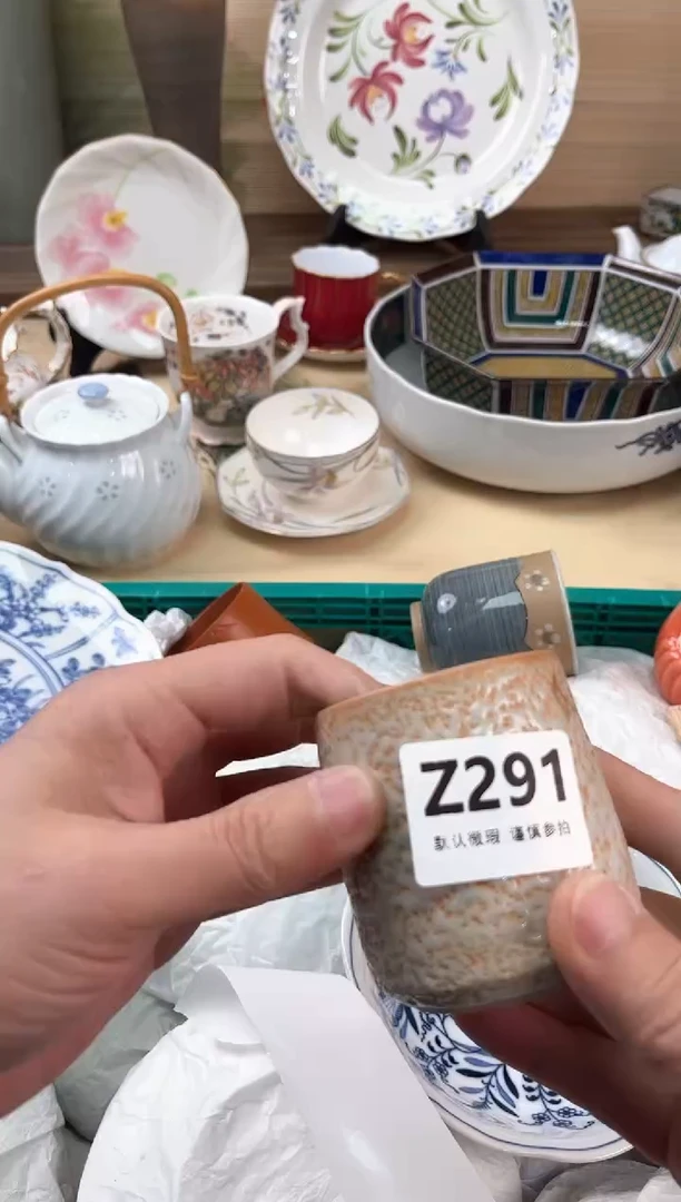 瓷片舍**器291