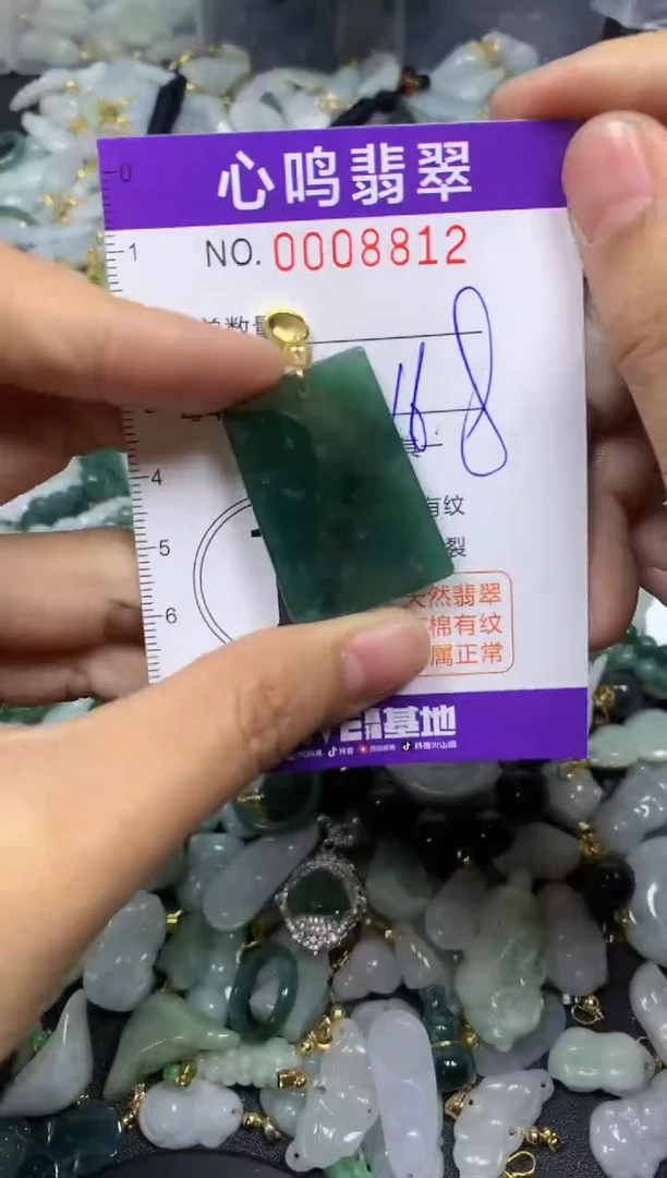 【闪购商品】翡翠颈饰未镶嵌闪购008812