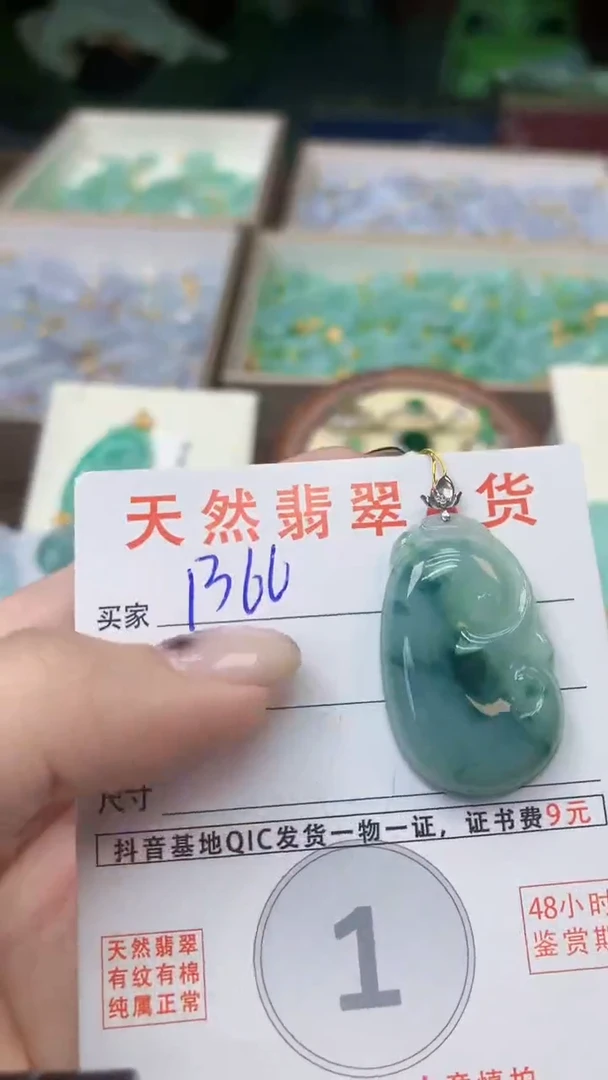 颈饰未镶嵌翡翠天然A货翡翠挂件