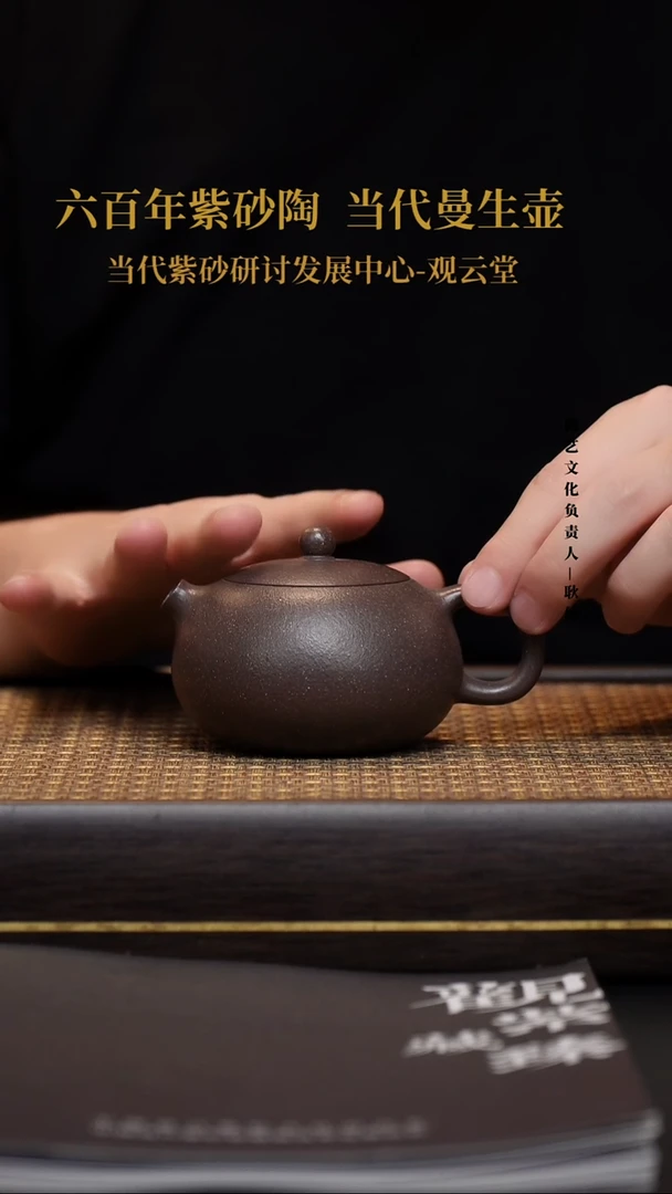 茶壶紫砂紫砂 西施