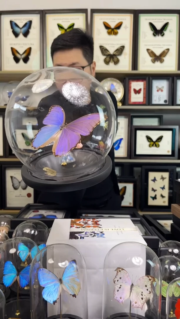 晶闪蝶-大号玻璃球款