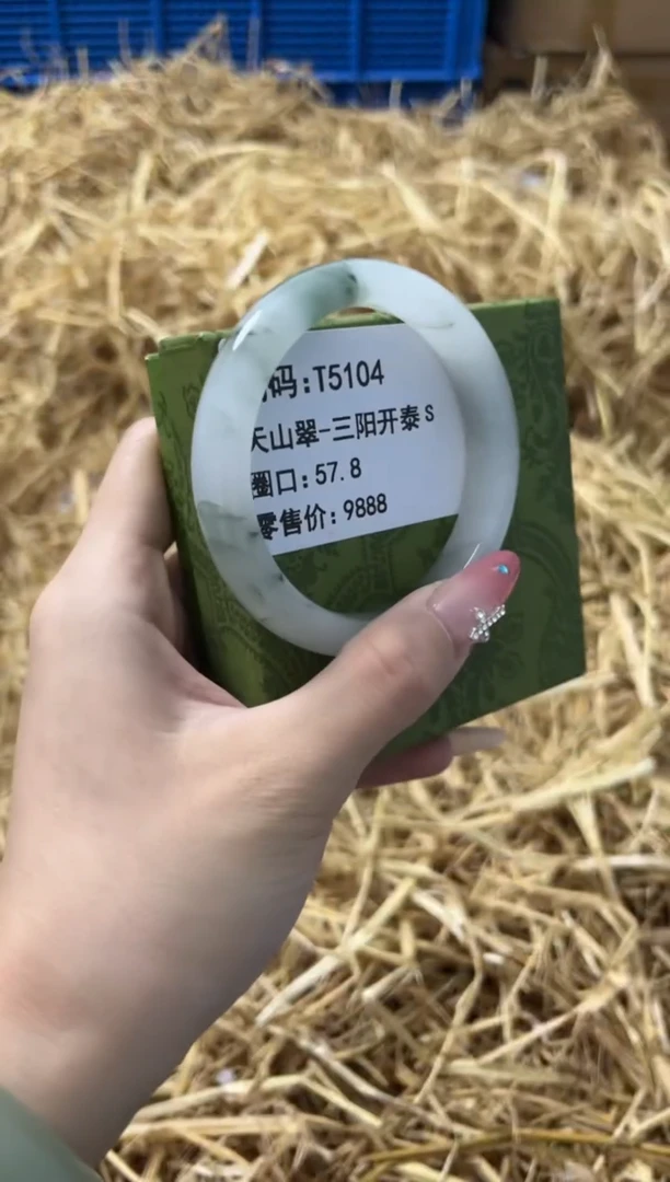 未镶嵌手镯石英质玉T5104