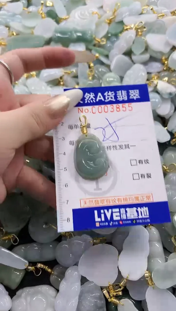 颈饰未镶嵌翡翠天然A货翡翠