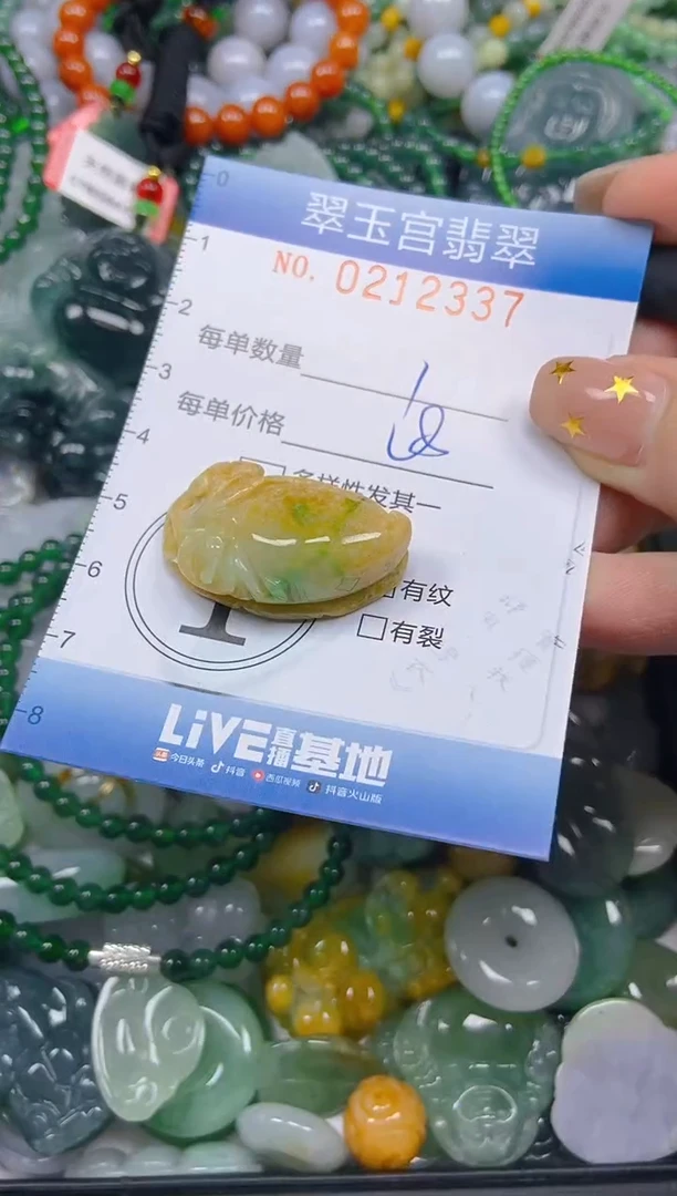 颈饰未镶嵌翡翠闪购C0212337