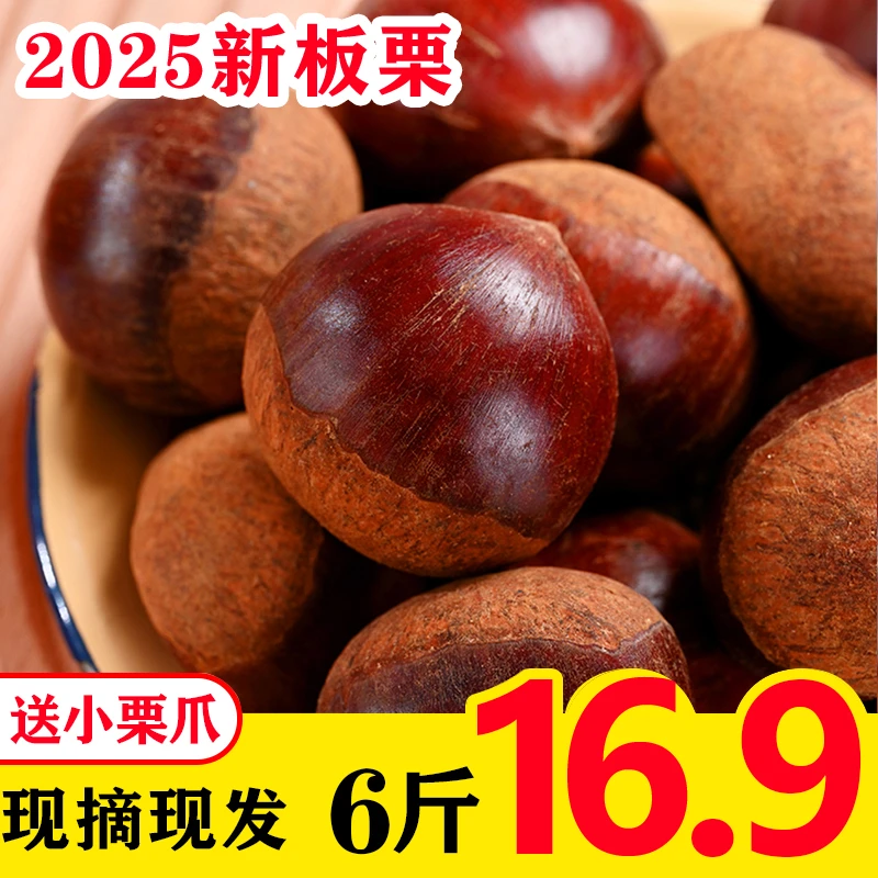 现摘现发】6斤新鲜丹东板栗2025年香甜软糯粉面甜产地直发难剥皮