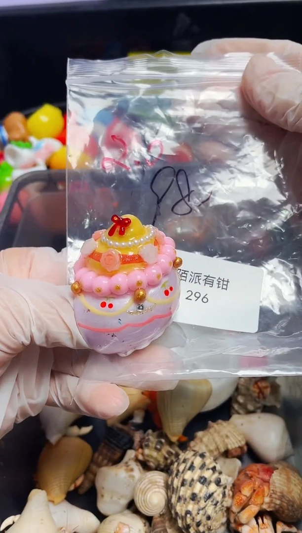 陌派有钳寄居蟹，手工壳2.0，296