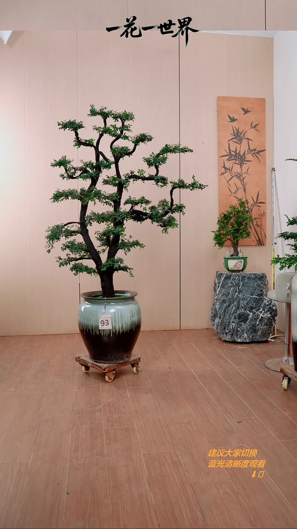 无花朵郑【闪购链接】93号链接