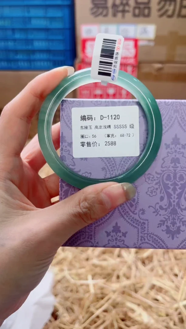 未镶嵌手镯石英质玉D-1120