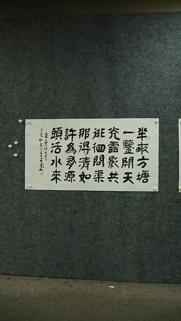 国画书法SXW老师书法作品