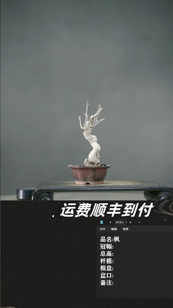 【闪购商品】106