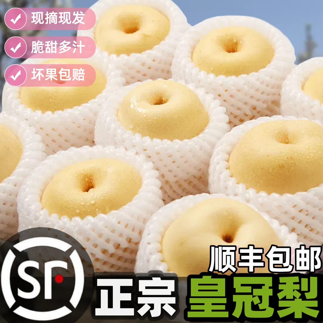 【顺丰】9斤皇冠梨产地直发当季新鲜水果批发梨子雪梨现摘现发维c