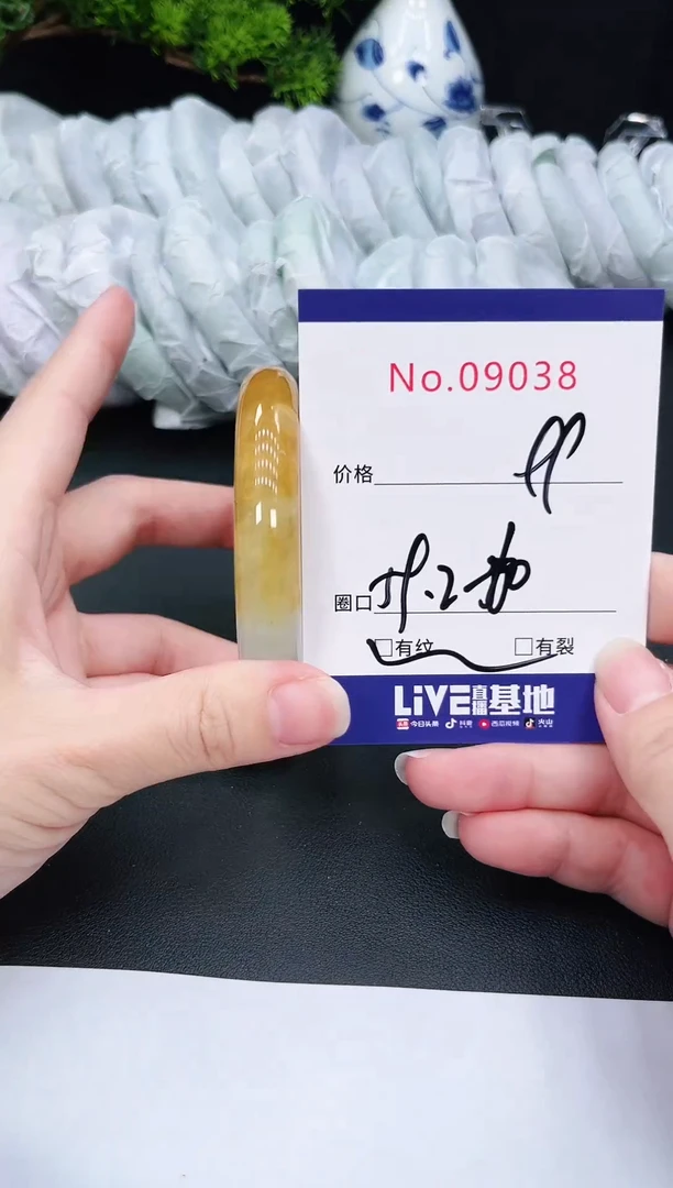 未镶嵌手镯翡翠9038