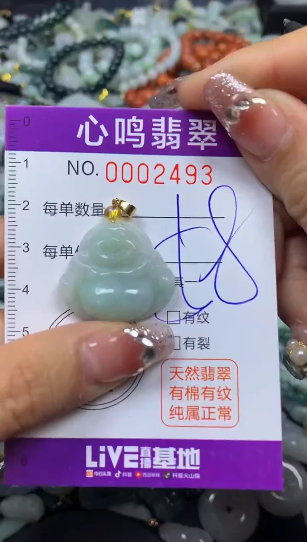 【闪购商品】翡翠颈饰未镶嵌闪购002493