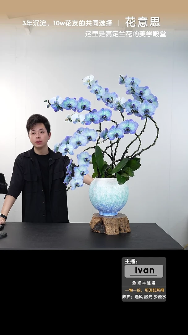 全部花朵22号链接【一物一拍】