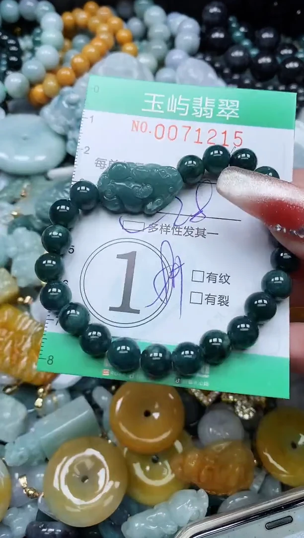 【闪购商品】翡翠颈饰未镶嵌闪购0071215多样性发其一