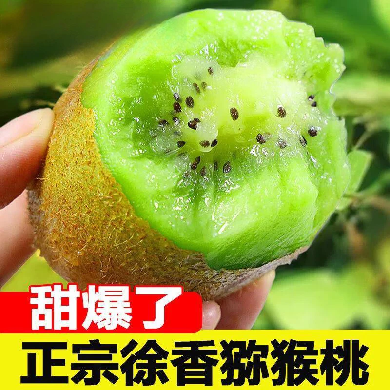 【顺丰包邮】正宗徐香猕猴桃绿心弥猴桃奇异果新鲜当季孕妇水果包邮