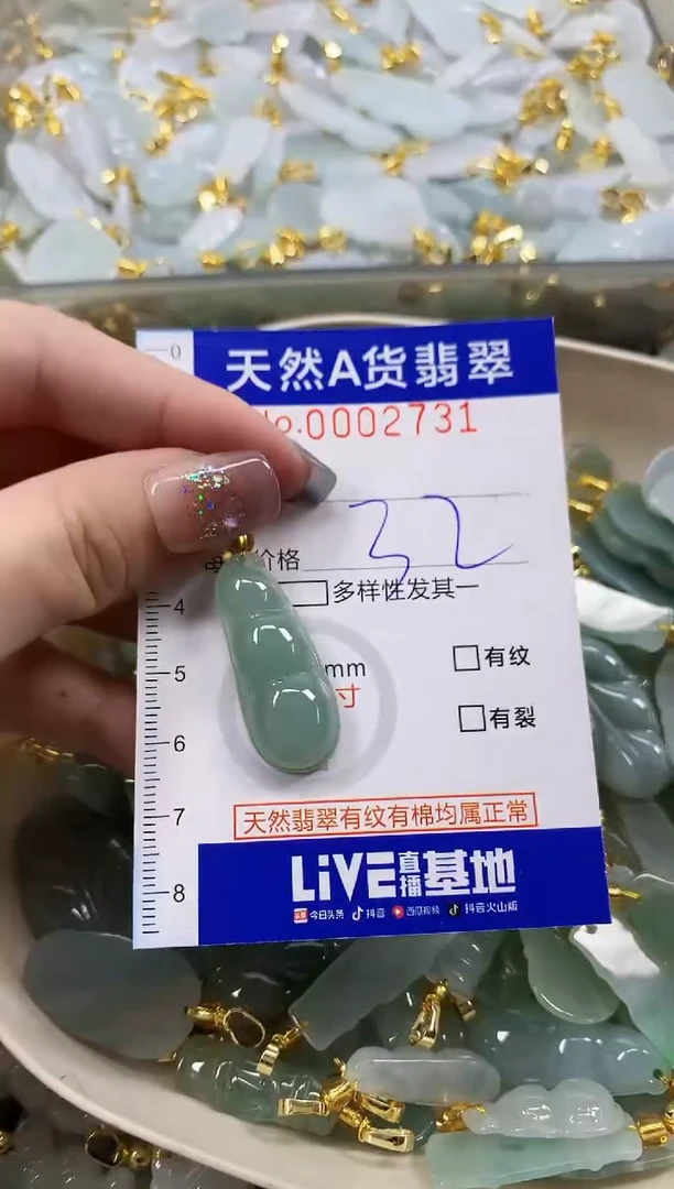 颈饰未镶嵌翡翠天然A货翡翠