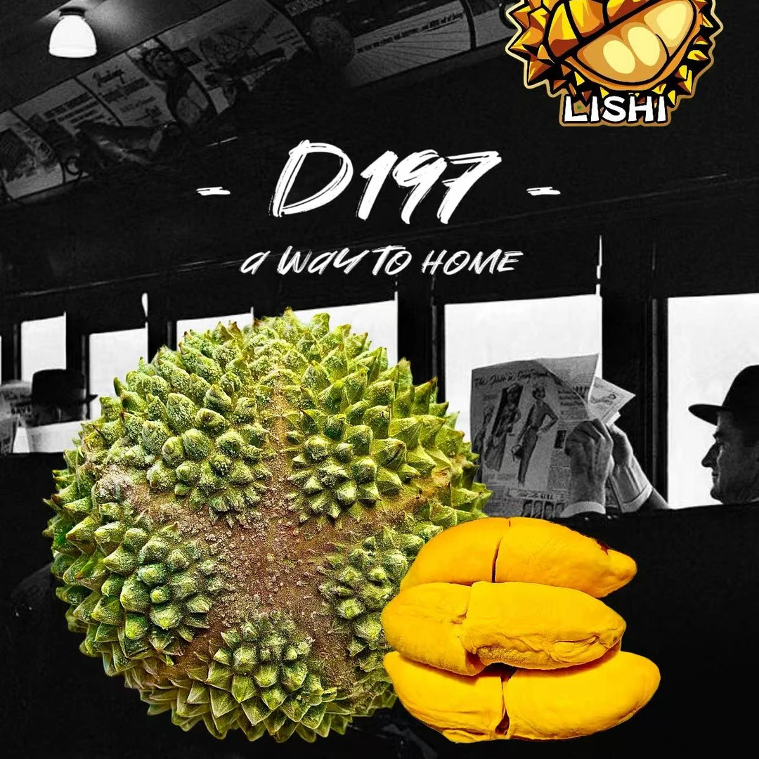 【D197猫山王】当季新鲜液氮整果现开核小猫山王现开包350克纯肉猫山王马来西亚