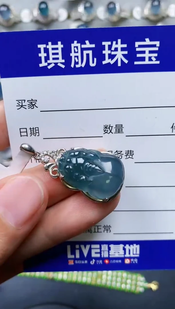 【闪购商品】翡翠颈饰银S925镶嵌0382