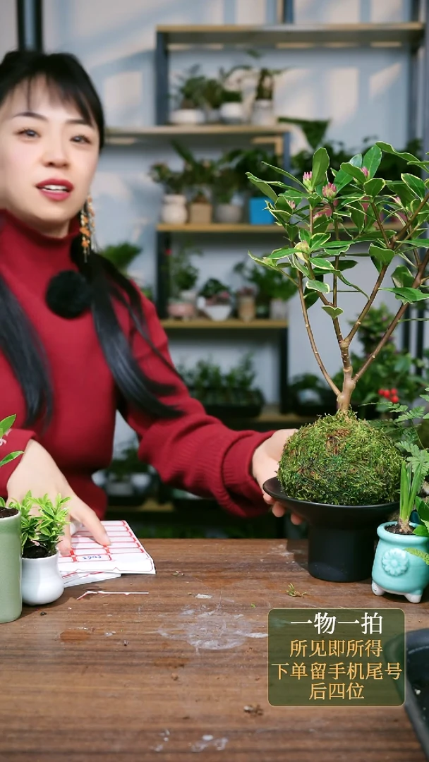 【闪购商品】135--4255满天星黑