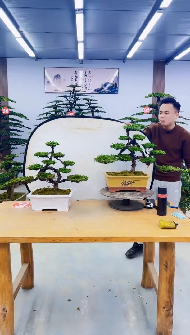 无花朵000000000000