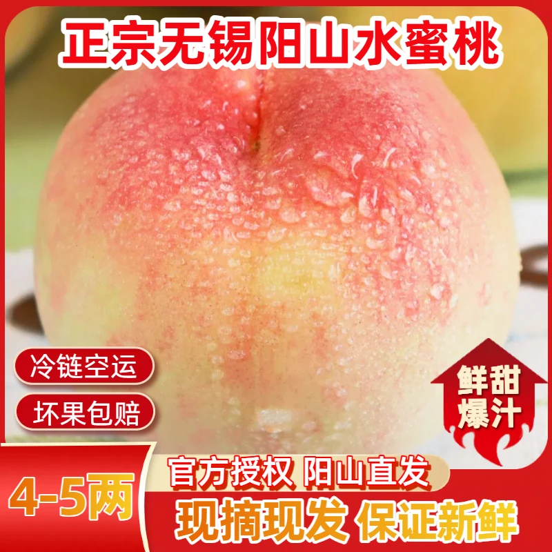 【4-5两】正宗无锡阳山水蜜桃8个新鲜甜白凤湖景现摘爆汁软水果礼盒