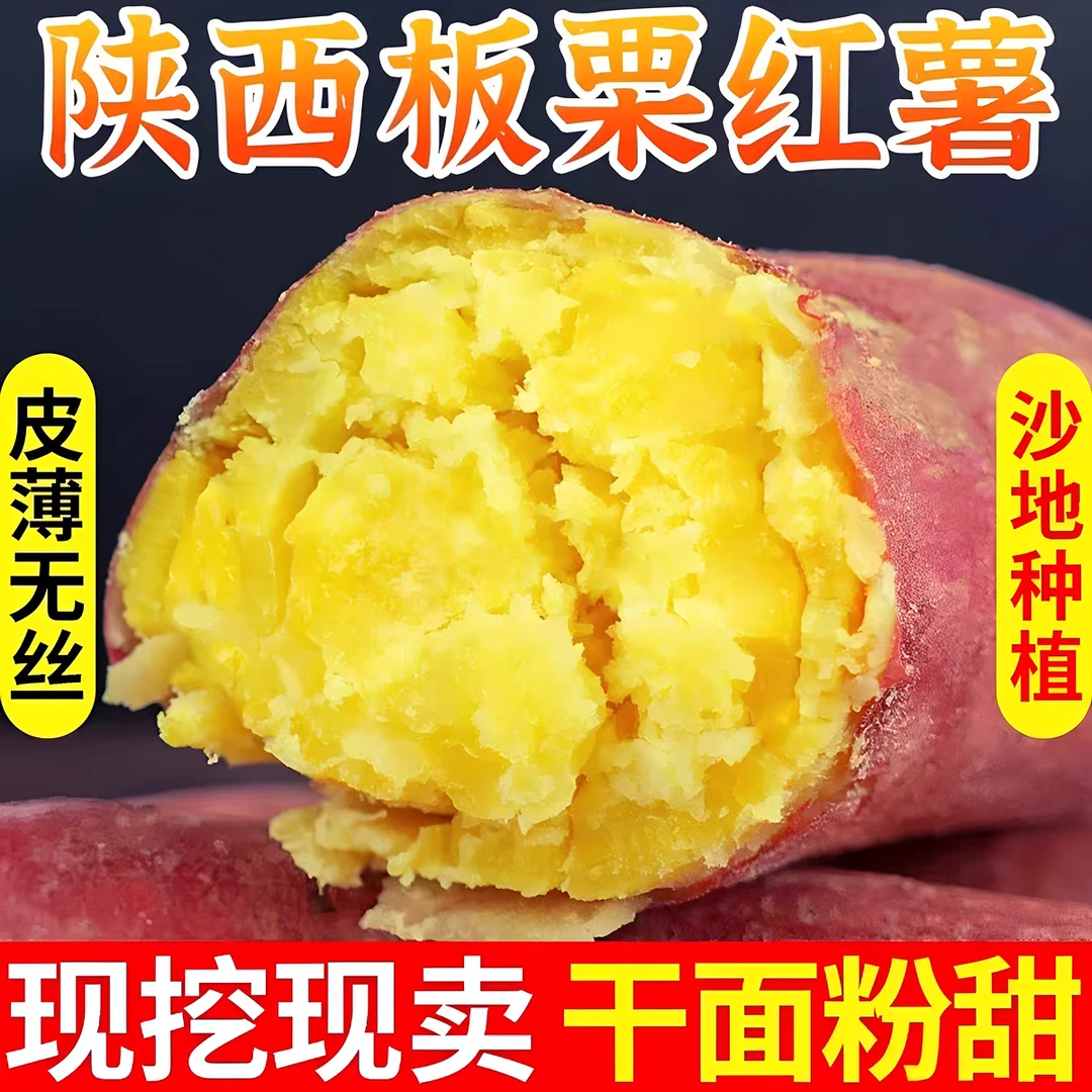 【现挖现发】正宗陕西板栗红薯红皮黄心粉糯香甜皮薄板栗味产地直发